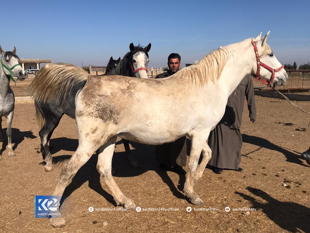 Xwed&icirc;kirina hepan li Am&ucirc;d&ecirc;