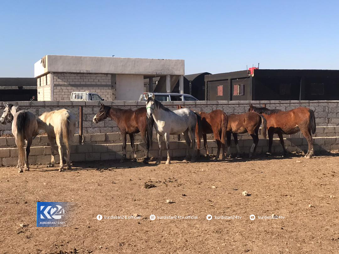 Xwed&icirc;kirina hepan li Am&ucirc;d&ecirc;