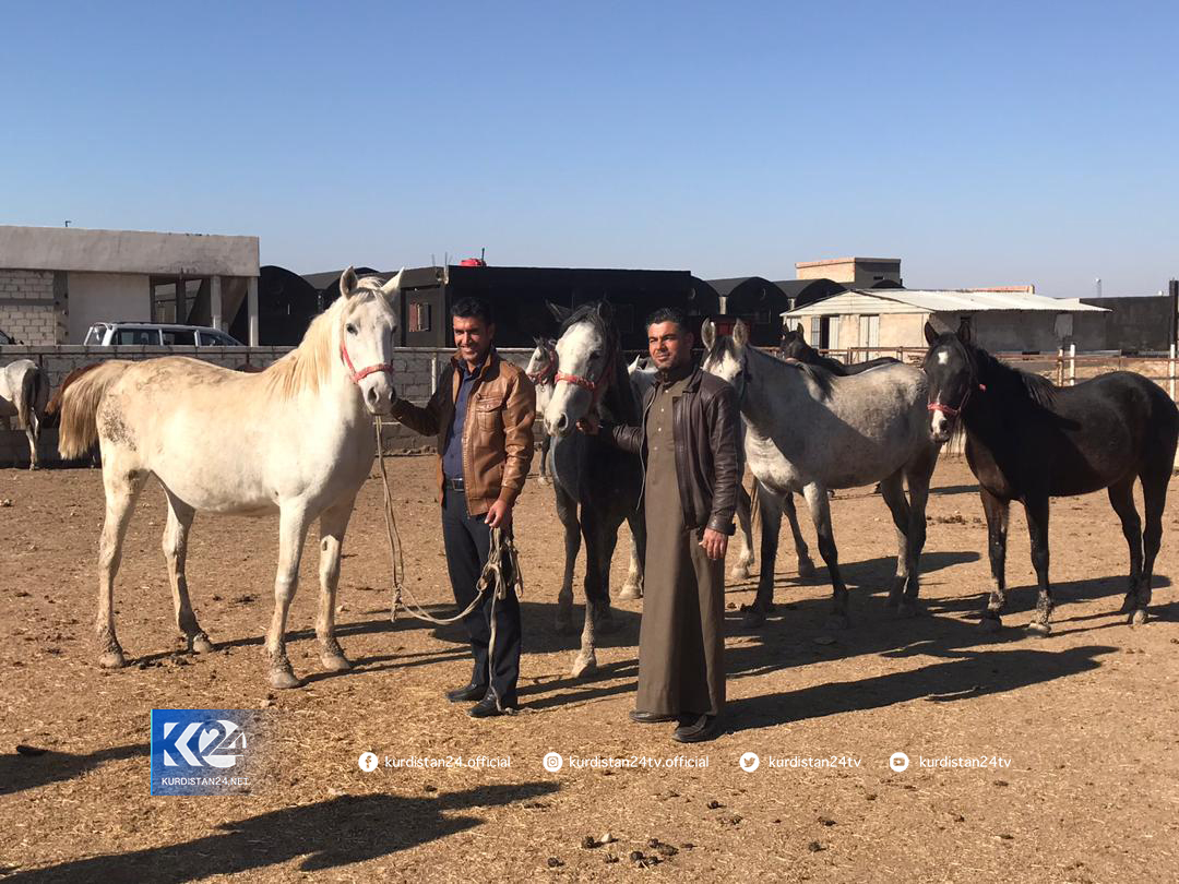 Xwed&icirc;kirina hepan li Am&ucirc;d&ecirc;