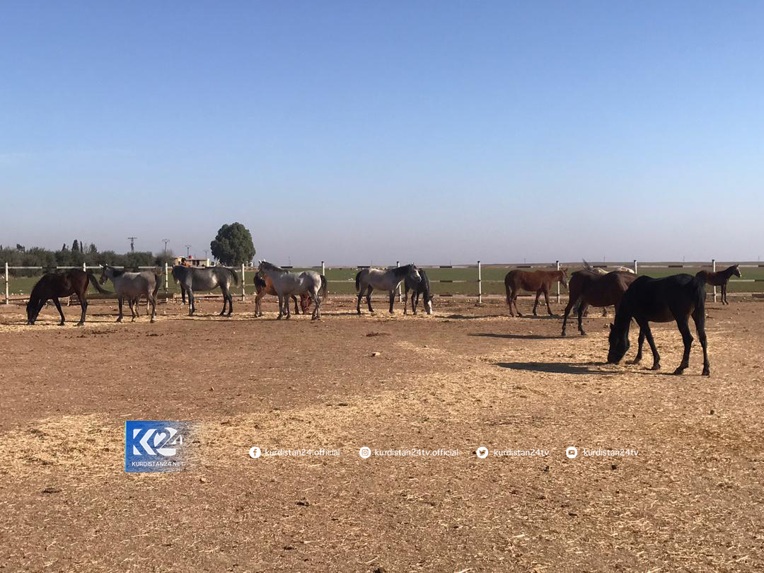 Xwed&icirc;kirina hepan li Am&ucirc;d&ecirc;