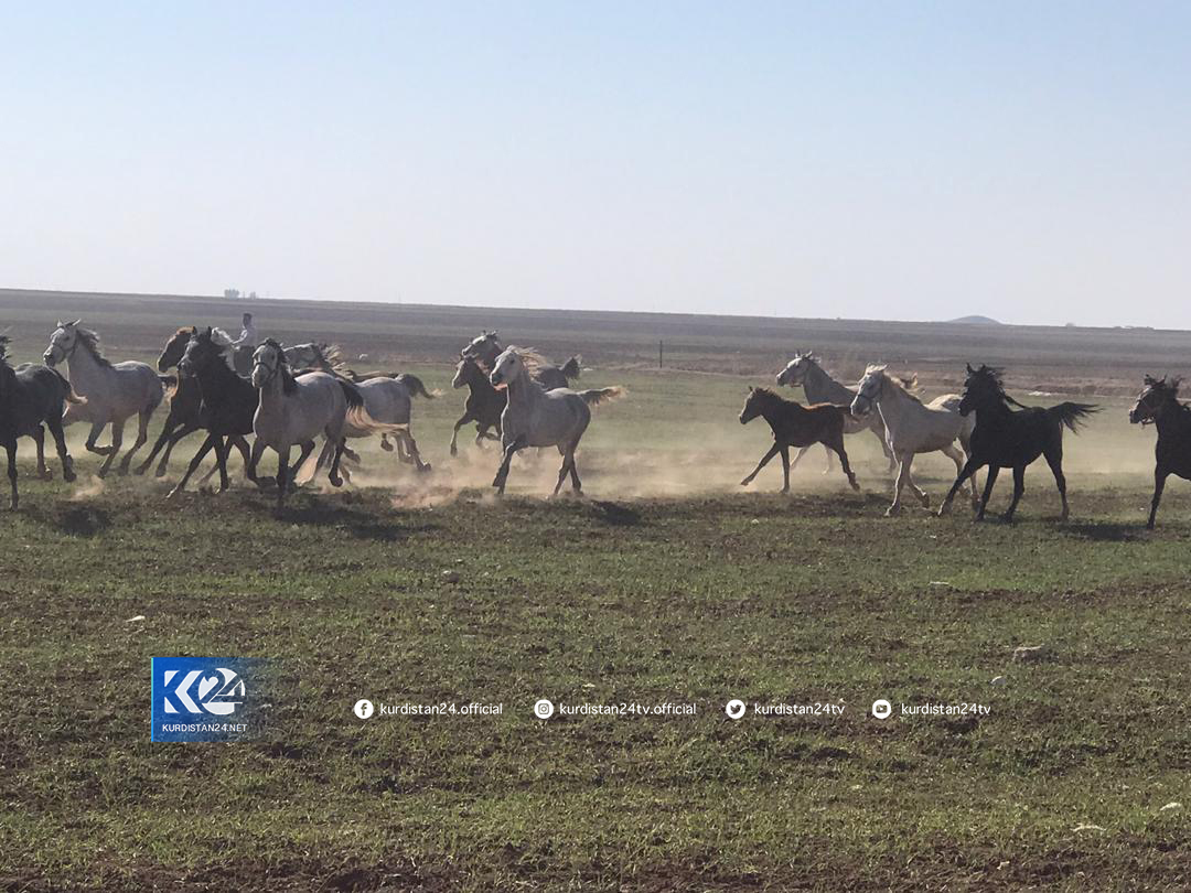 Xwed&icirc;kirina hepan li Am&ucirc;d&ecirc;