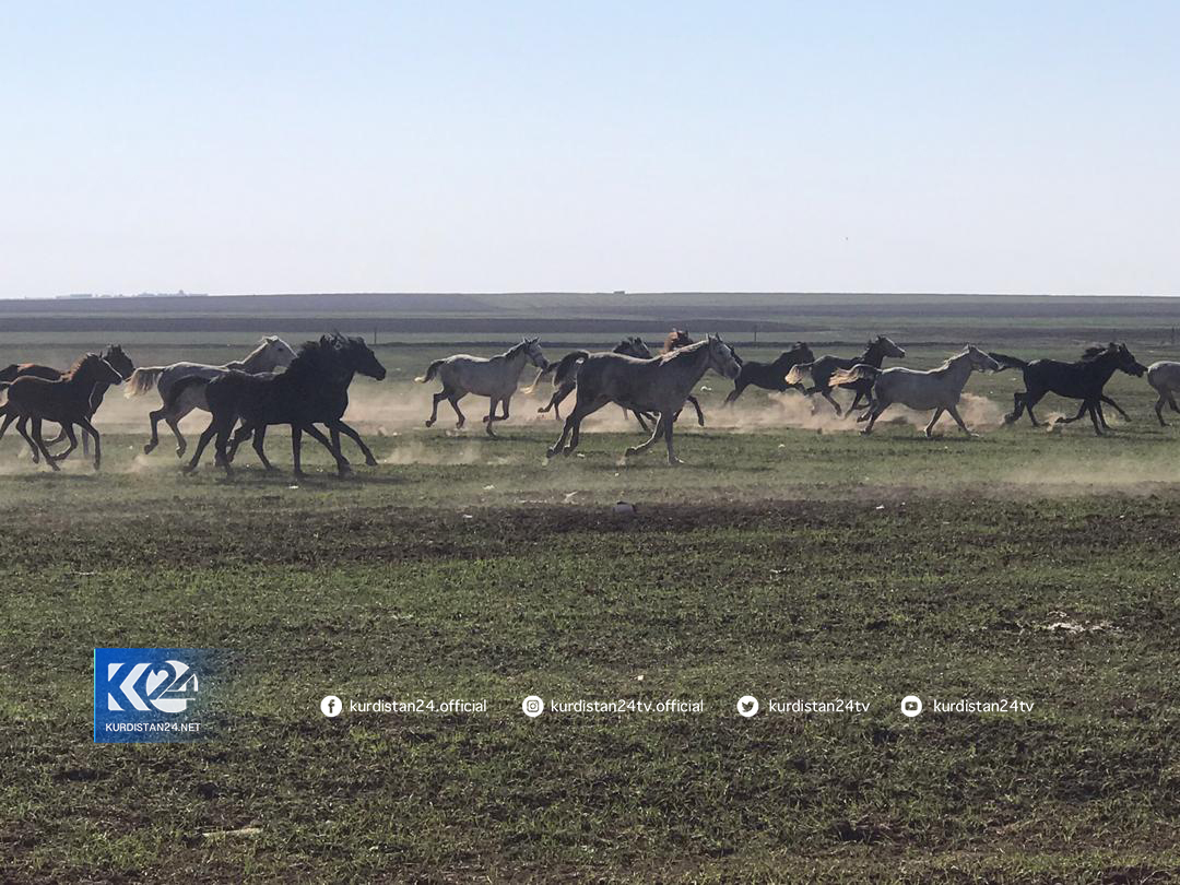 Xwed&icirc;kirina hepan li Am&ucirc;d&ecirc;