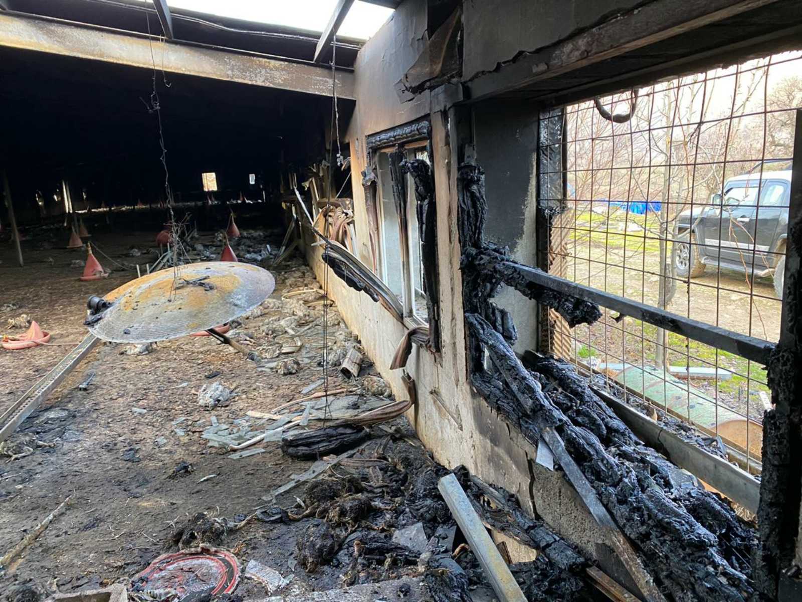 ئاگركه&zwnj;وتنه&zwnj;وه&zwnj; له&zwnj; كێڵگه&zwnj;یه&zwnj;كی مریشك له&zwnj; قه&zwnj;زای مێرگه&zwnj;سۆر