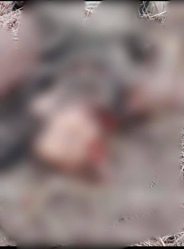 دیمه&zwnj;نێكی رووداوه&zwnj;كه&zwnj;