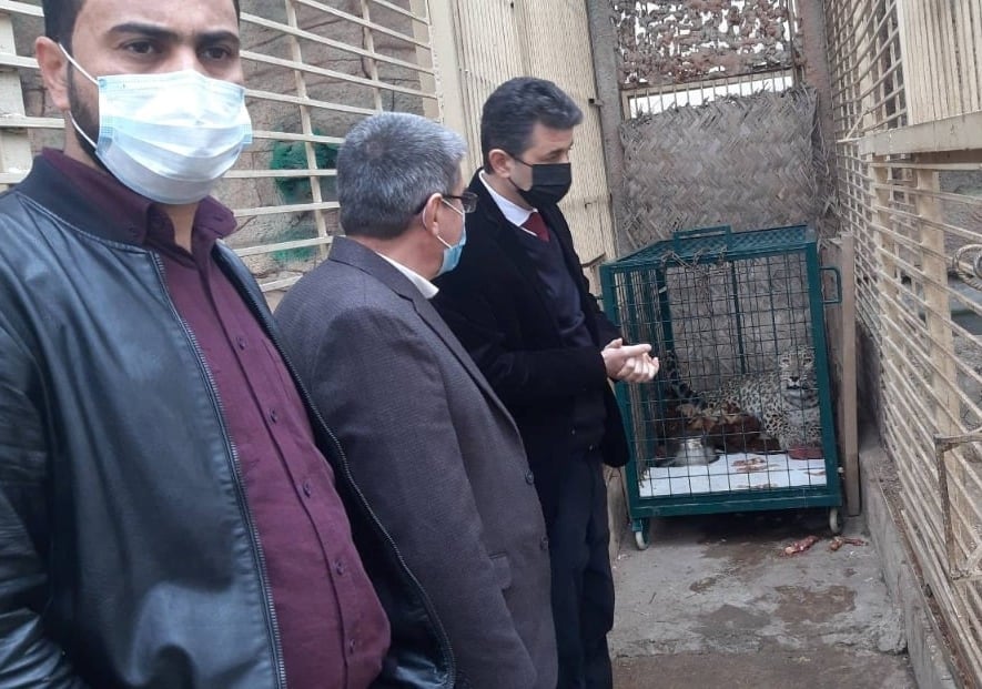 پڵنگەکەی باتیفا 