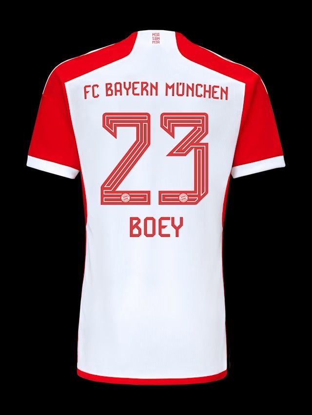 ژامرەی درێسی ساشا بۆی