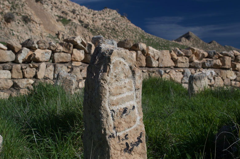 The graveyard at Dween citadel. (Photo: Levi Meir Clancy)