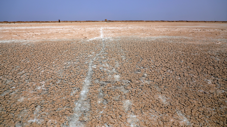 کاهش تولید غلات در عراق به دلیل خشکسالی