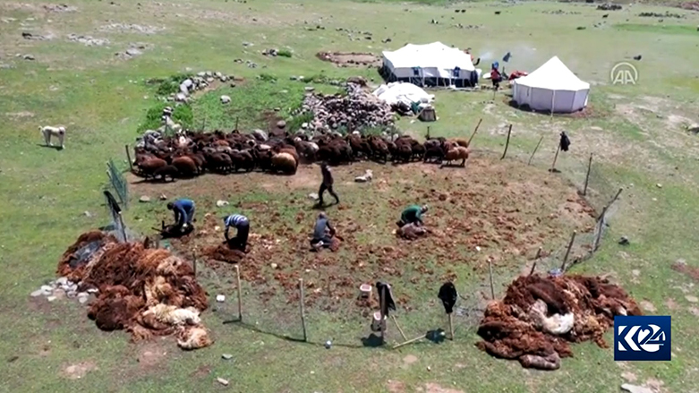 Li zozanên  Agirî dema kurkirina hiriya pez e