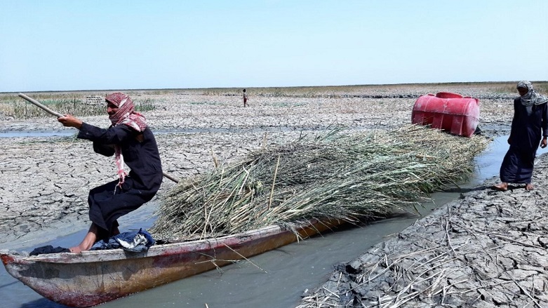 Low levels of water in Iraqi Marshes effects the livelihoods of more than 6,000 rural families. (Photo: FAO)