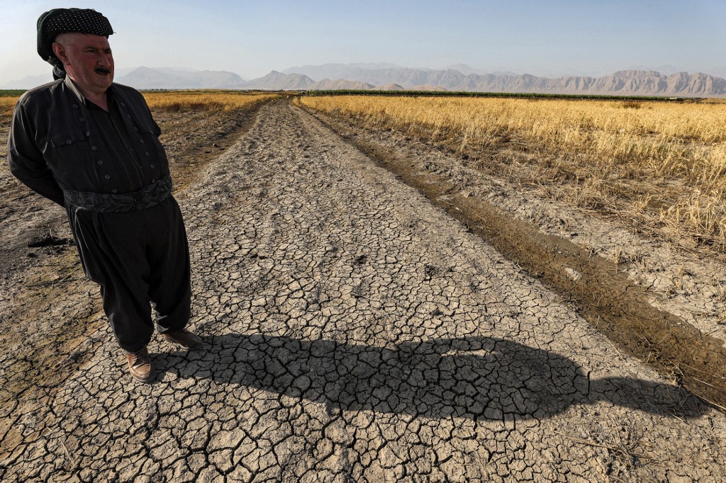 Bapir Kalkani, a Kurdish agricultural trade unionist, inspects his wheat farm in the Rania district near the Dukan reservoir, in Kurdistan Region's Sulaimani province, July 2, 2022. (Photo: Ahmad Al-Rubaye/AFP)
