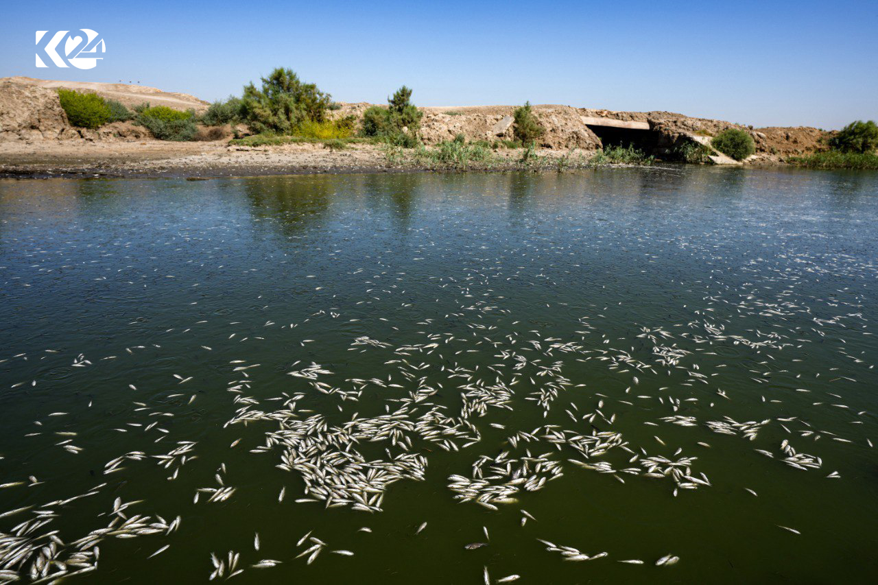 Masî