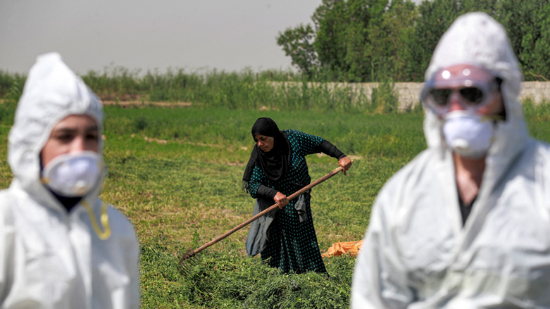A medical team from Iraq's Health Ministry carries on a disinfection campaign as a precaution against the spread of Congo hemorrhagic fever at a farm in the southwestern Baghdad suburb of al-Bouaitha, May 22, 2023. (Photo: Ahmad Al-Rubaye/