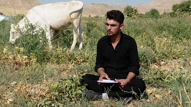 Rasti Ali, a cattle herder and dropout, has been able to learn English language by daily speaking practice with his cows in Erbil's Koya district, July 13, 2023. (Photo: Kurdistan 24)