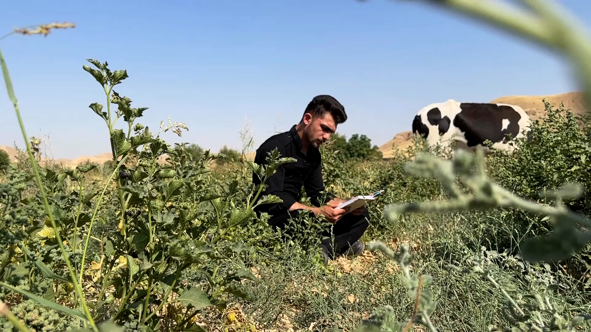 Rasti Ali, a cattle herder and dropout, has been able to learn English language by daily speaking practice with his cows in Erbil's Koya district, July 13, 2023. (Photo: Kurdistan 24)