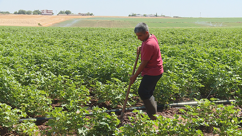 Li 13 gundên Wêranşarê pirsgirêka elektrîkê heye û welatî banga çareseriyê dikin