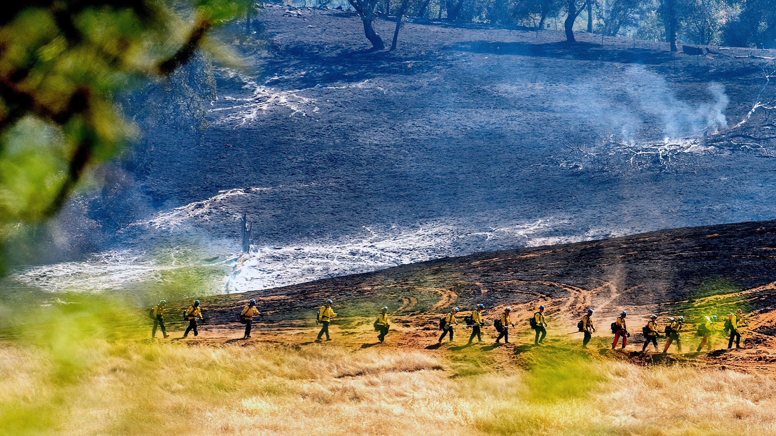 Week in Photos: resilience, turmoil, drama across the globe