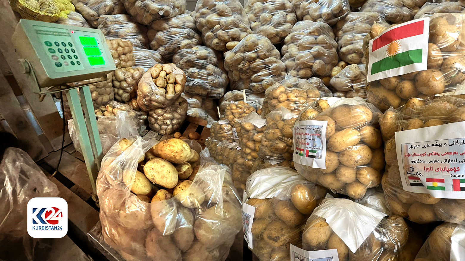 KRG to export 5,000 tons of potatoes to UAE amid growing agricultural success