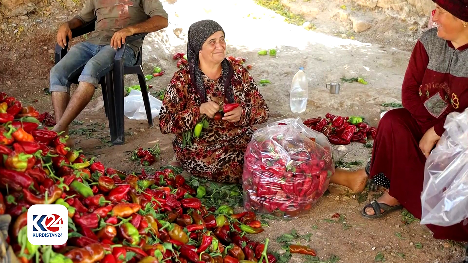 Afrin farmers struggle amid war, Turkish-backed militia occupation