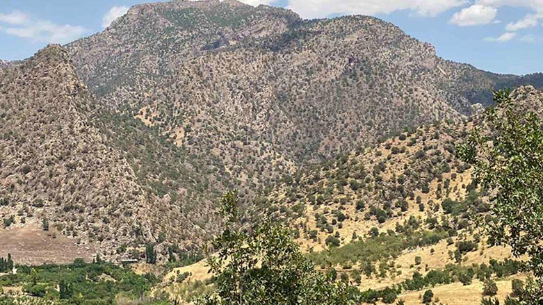 Turkish companies are accused of illegal logging in the mountains of the Kurdistan Region’s Duhok province. (Photo: Archive)