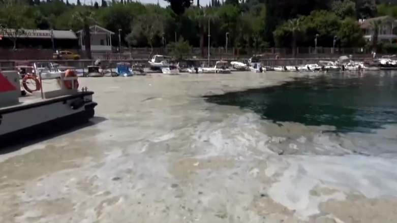 Kefa li ser Marmarayê jiyana giyanewerên dixe metirsiyê