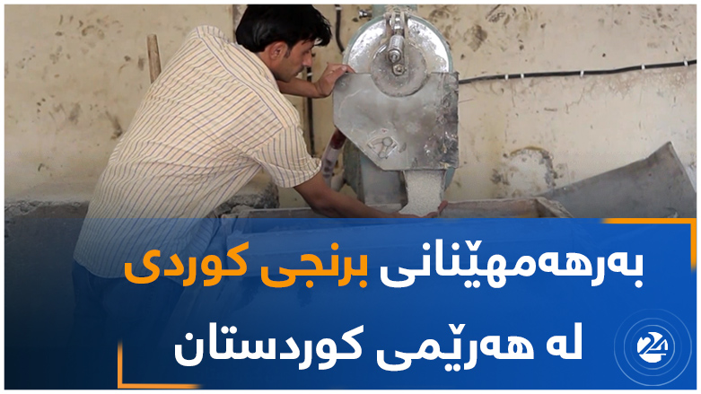 بەرهەمهێنانی برنجی کوردی  لە هەرێمی کوردستان