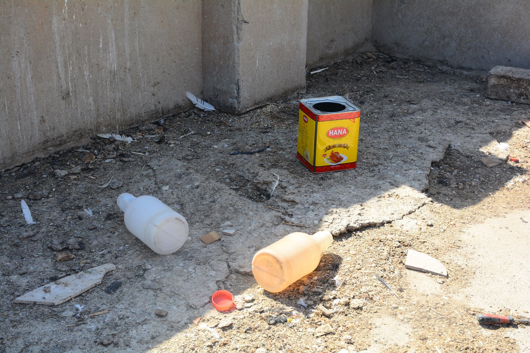 سووتانی ماڵێك له&zwnj; گه&zwnj;ڕه&zwnj;كی زانیاری