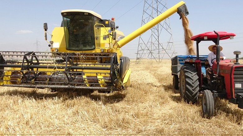 In 2020, the KRG established an agricultural program that includes several phases, the first of which will oversee 100,000 tons of wheat to be marketed by state companies and others working with them. (Photo: Archive)