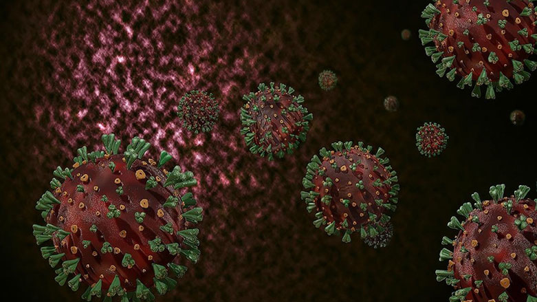 Çin'de yeni araştırma: Yarasalarda Covid-19’a benzer ikinci virüs bulundu