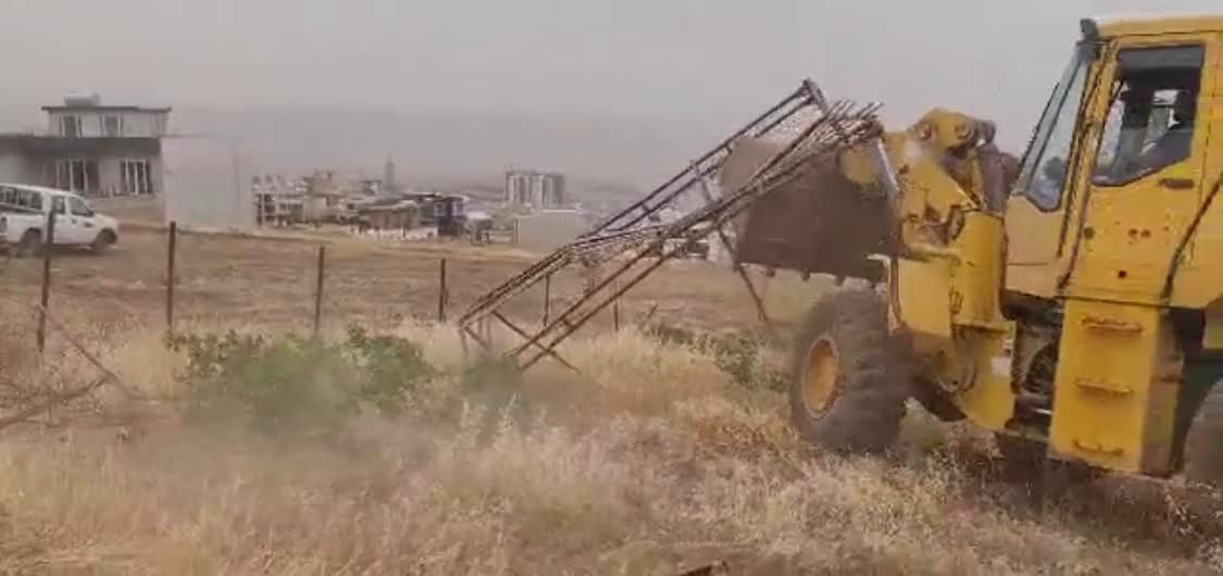 لابردنی ژمارەیەک درەخت لە بناری گۆیژە