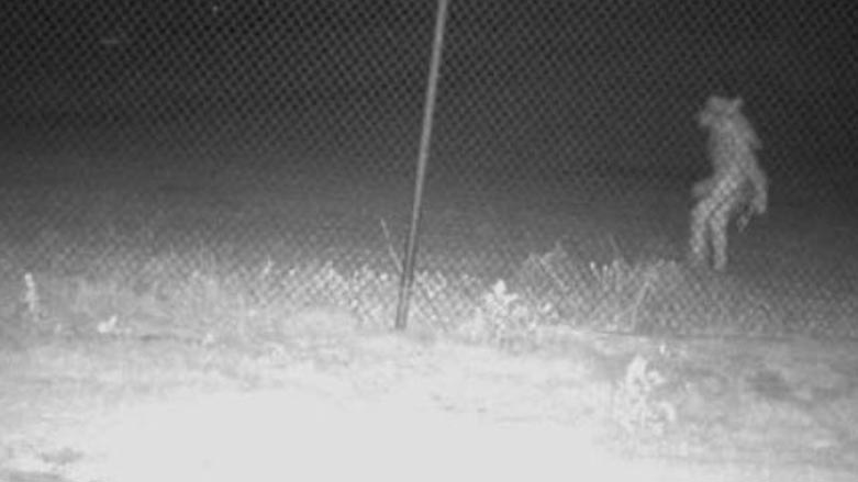 بوونه&zwnj;وه&zwnj;ره&zwnj;كه&zwnj; له&zwnj; رێگه&zwnj;ی كامێرای چاودێرییه&zwnj;وه&zwnj; وێنه&zwnj;ی گیراوه&zwnj; 