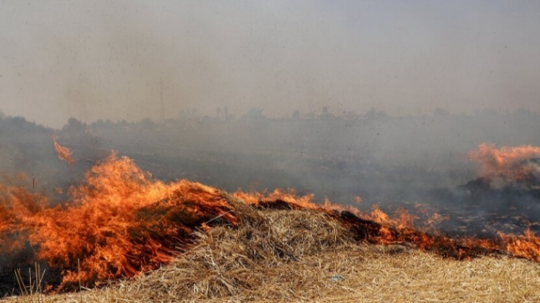آتش‌سوزی در گندمزارهای استان کرمانشاه