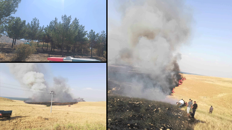 پۆلیسی دارستان و ژینگەی سلێمانی: لە چوار حاڵەتی ئاگرکەوتنەوە گومان دەکرێت سیانیان بە مەبەست بووبن