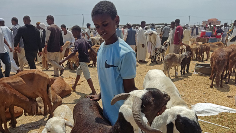 A youth pets a sheep at a livestock market ahead of the Muslim feast of Eid al-Adha in Sudan's eastern Gedaref region, June 27, 2023. (Photo: AFP)