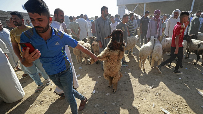 A man buys a sheep from a livestock market ahead of the Muslim feast of Eid al-Adha in Baghdad's Nahrawan area, June 27, 2023. (Photo: Ahmad Al-Rubaye/AFP)