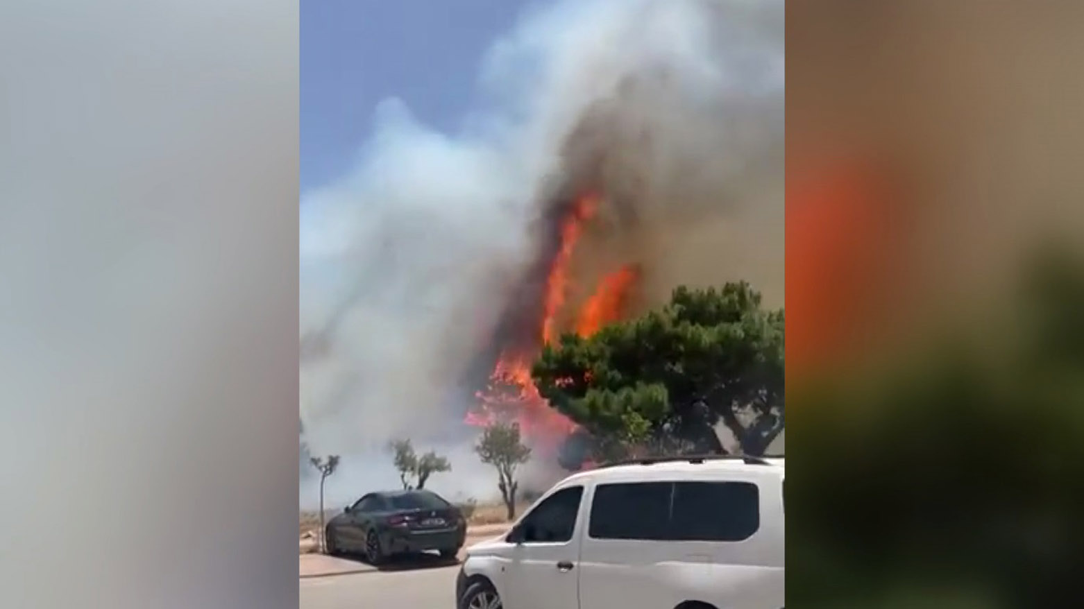 Li navçeya Konyaaltiyê ya Antalyayê şewat derket