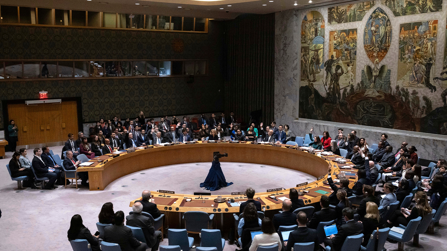 Five nations unanimously elected to UN Security Council for next term