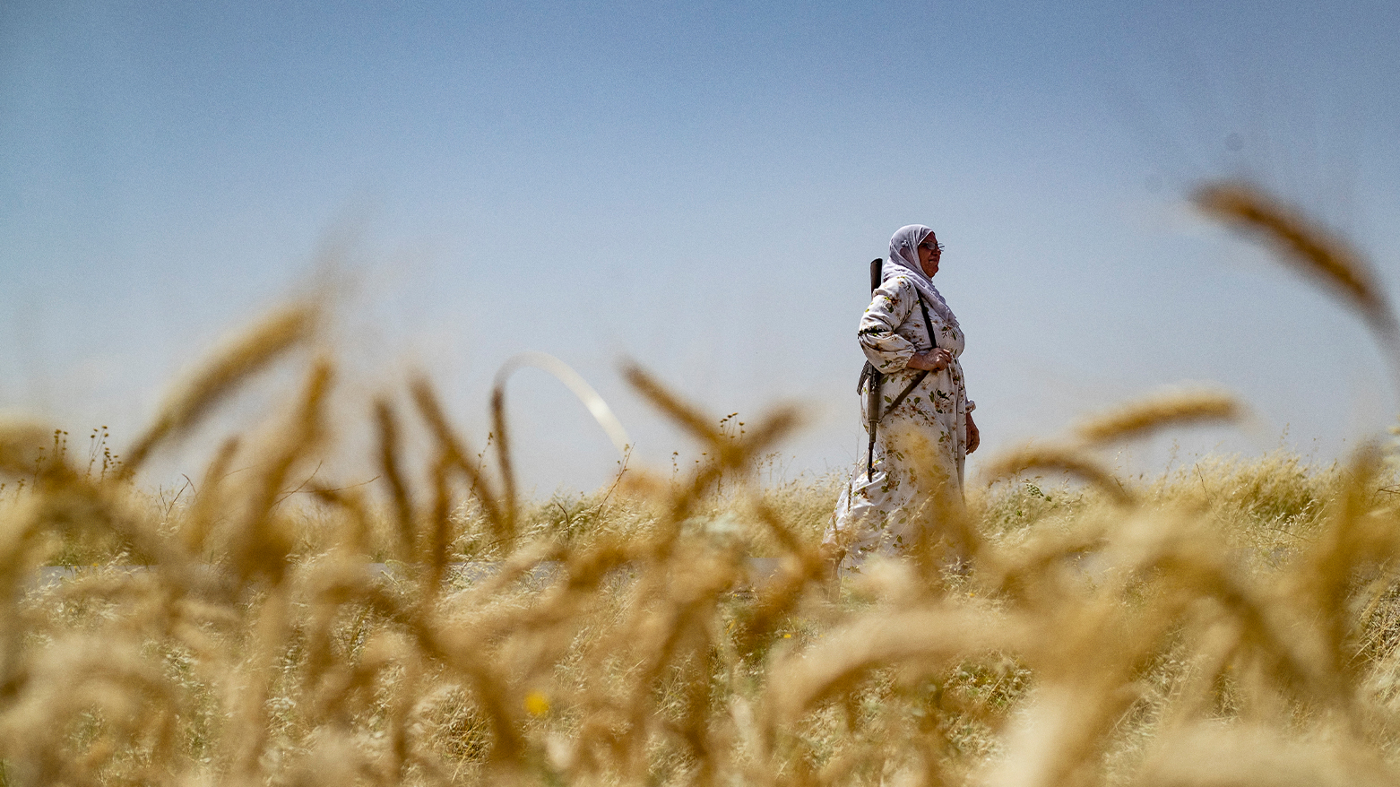 Armed Syrian Kurdish women stand guard over precious wheatfields