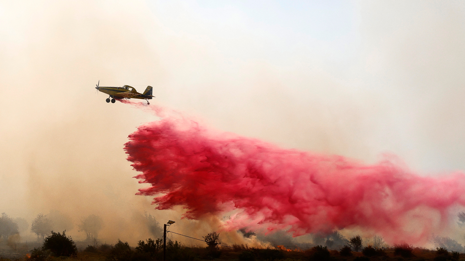 (Photo by Jalaa MAREY / AFP)