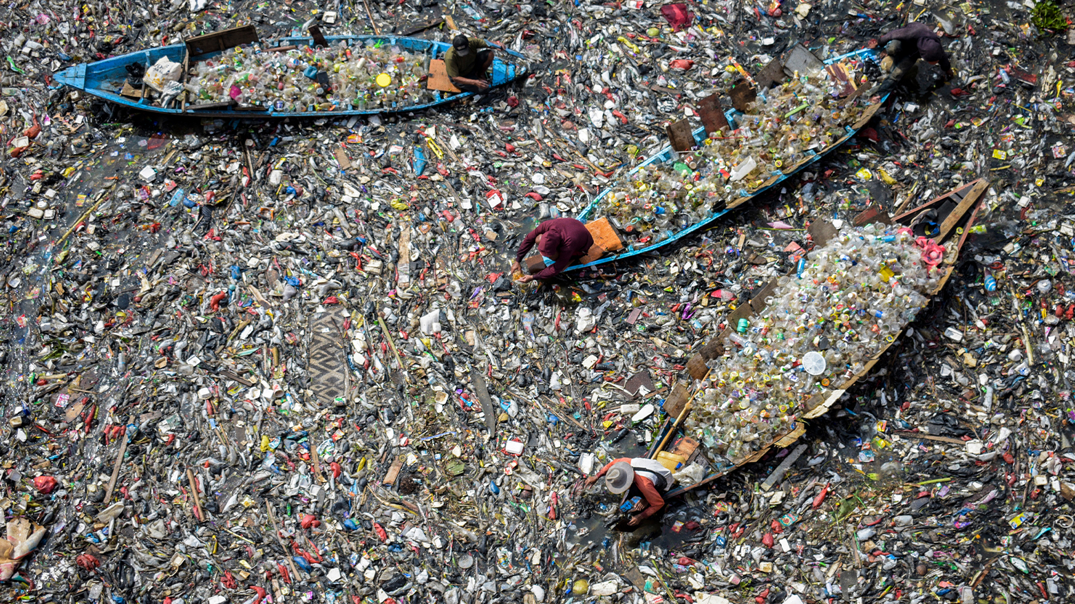 (Photo by TIMUR MATAHARI / AFP)