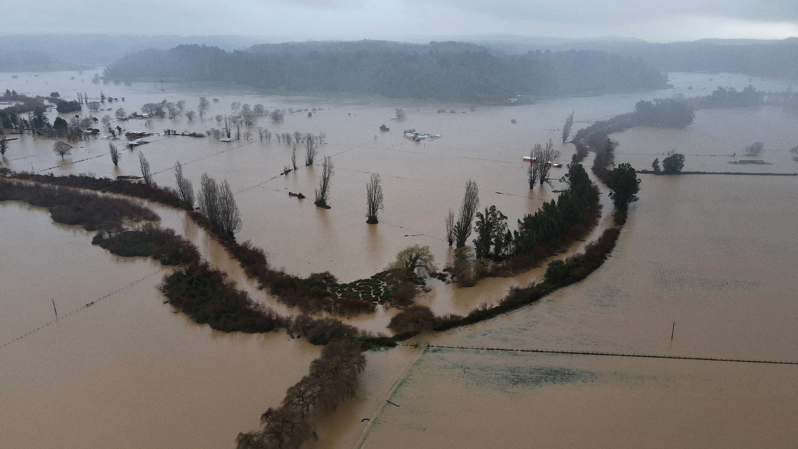 (Photo by Guillermo SALGADO / AFP)