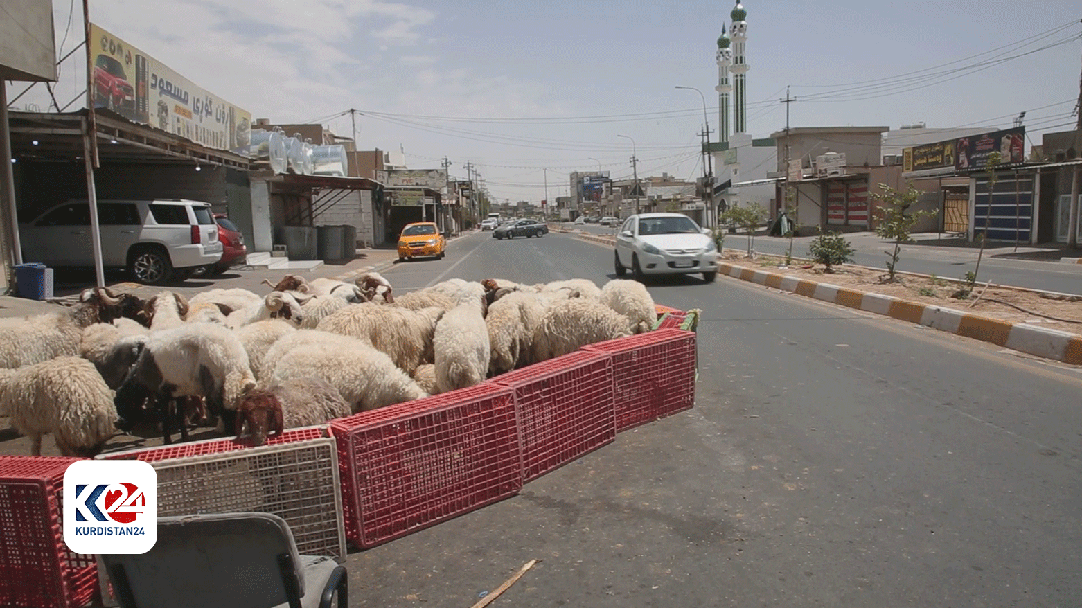 هاووڵاتییانی کەرکووک بەهۆی پاشماوەی ئاژەڵەکانی قوربانی هەراسان بوون