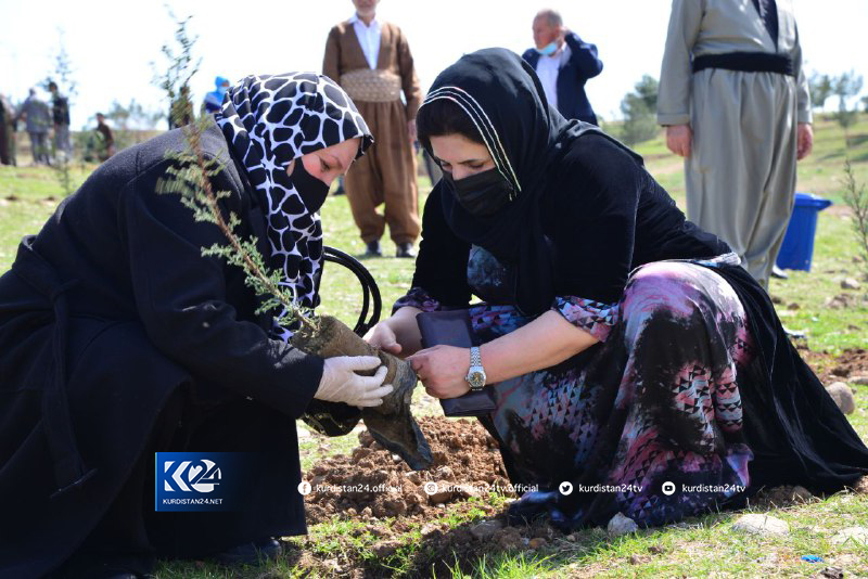 &Ccedil;andina şitl&ecirc;n daran