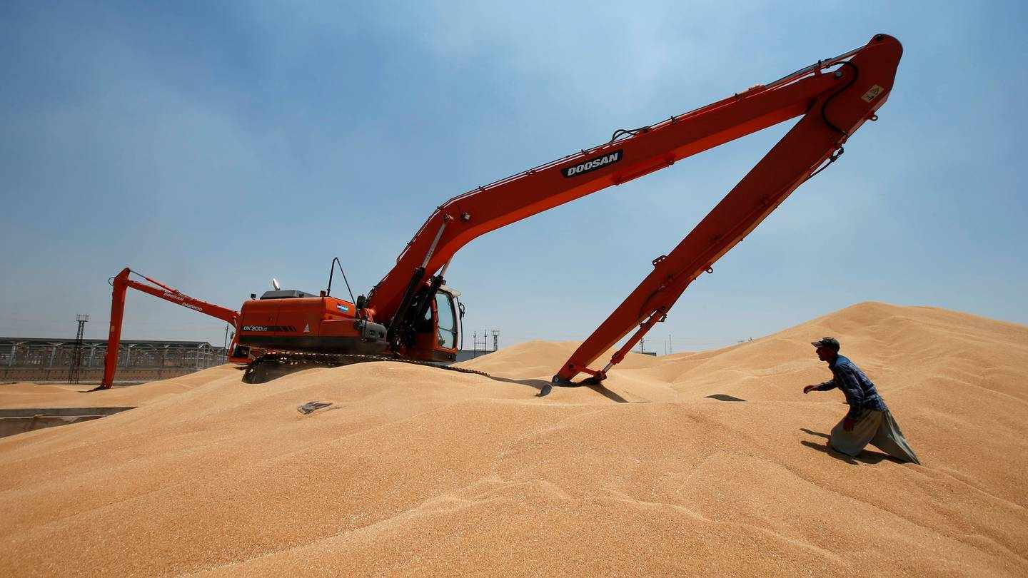 چندین شرکت آمریکایی، آلمانی و کانادایی پیشنهادی مبنی بر فروش گندم را به عراق داده‌اند