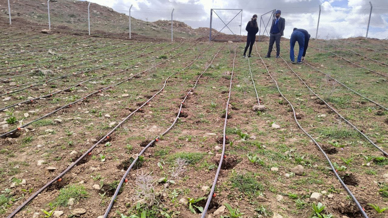 Two-thousand trees were planted in a village near Pirmam (Photo: Hasar)