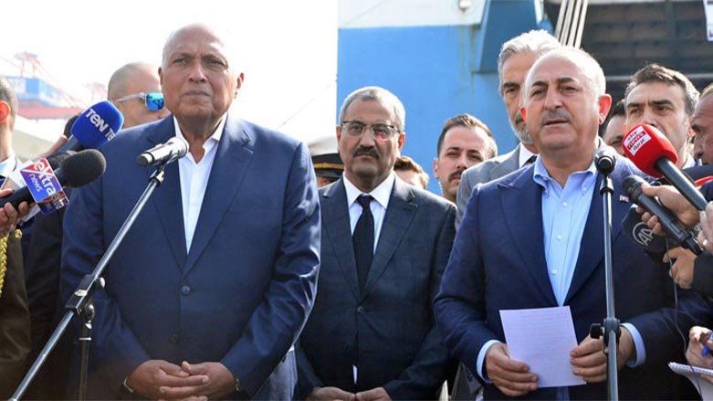 Mısır Dışişleri Bakanı Samih Şukri ve Türkiye Dışişleri Bakanı Mevlüt Çavuşoğlu