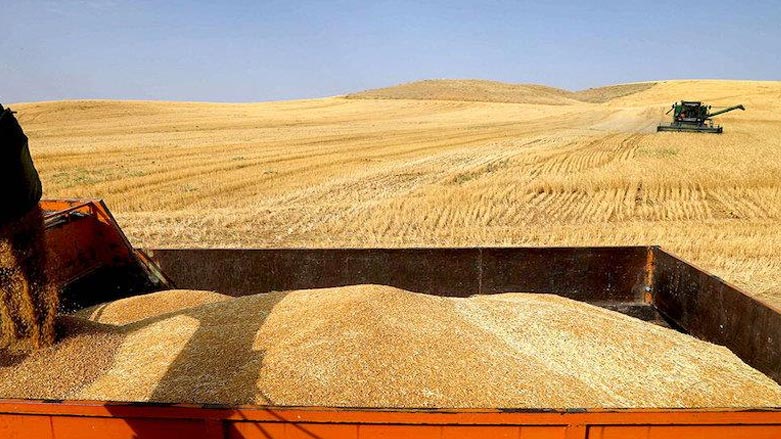 "خرید گندم از کشاورزان کورد ادامه خواهد داشت"