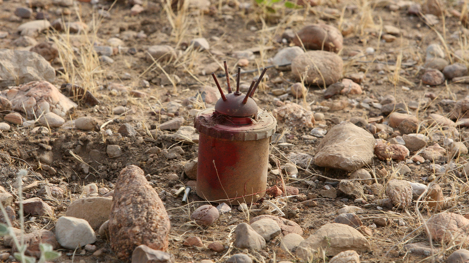 In this picture taken on Sunday, July 24, 2011, an anti-personnel mine can be seen. (Photo: AP)