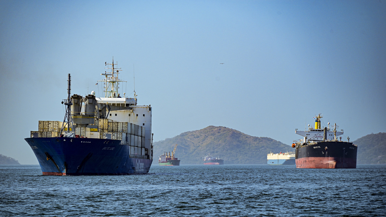 کشتی‌های باری در کانال پاناما - عکس: ای اف پی