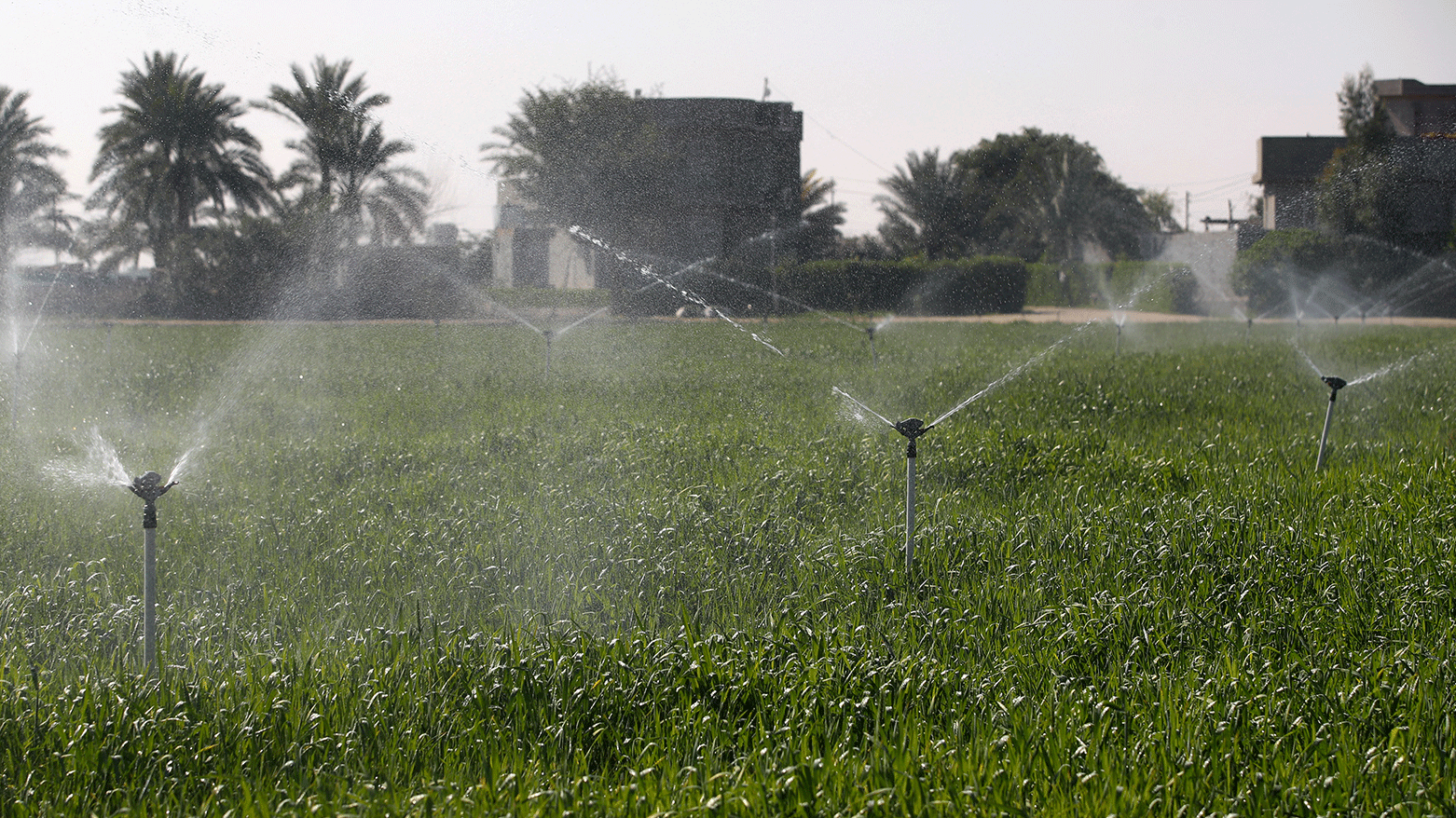 Sprinklers spray a field, part of a new water management systems brought by the UN World Food Programme, on a farm in the village of al-Azrakiya. (Photo: AFP)